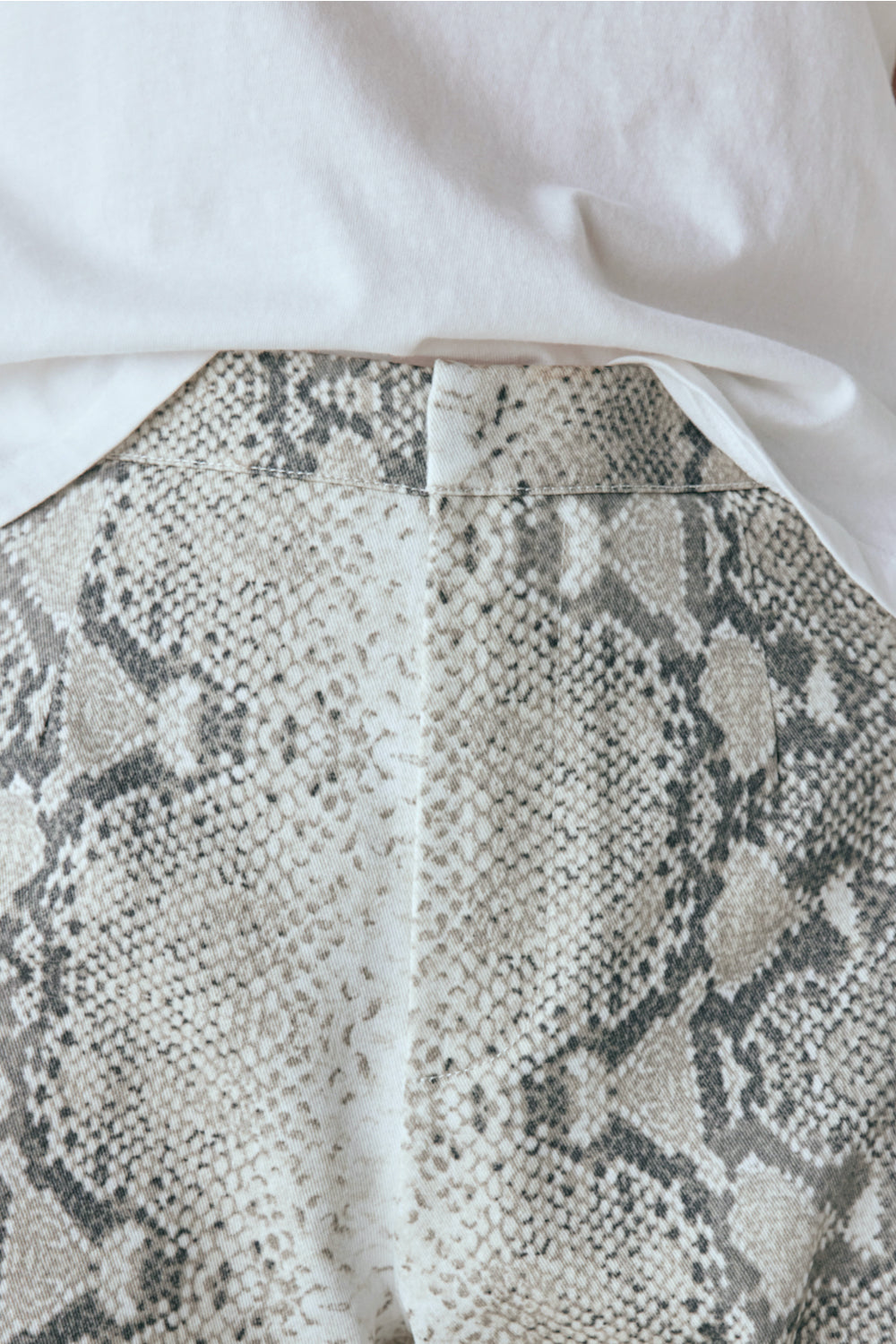 Rue High Rise Pants Snake