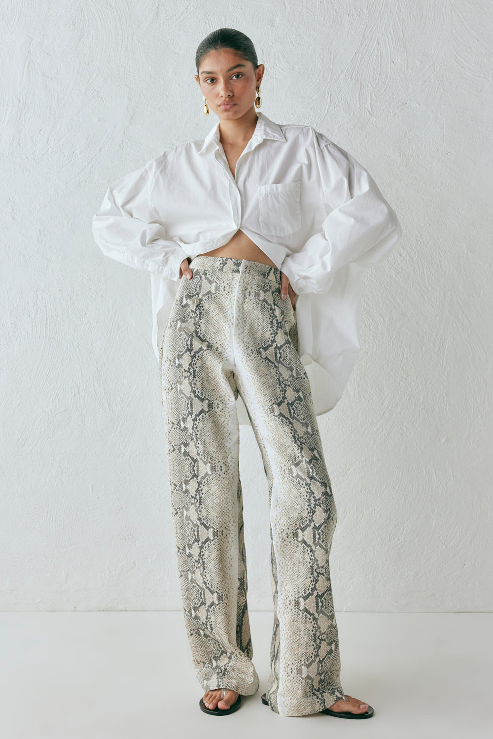 Rue High Rise Pants Snake