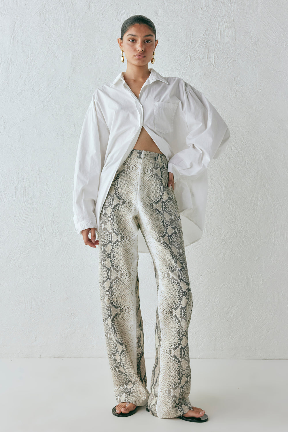 Rue High Rise Pants Snake